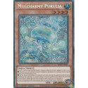 Mulcharmy Purulia (PSE) [MP25]
