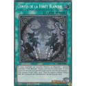 Contes de la Forêt Blanche (PSE) [MP25]