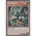 Ext Ryzéal (PSE) [MP25]