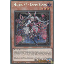 Maliss ˂P˃ Lapin Blanc (PSE) [MP25]