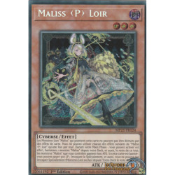 Maliss ˂P˃ Loir (PSE) [MP25]