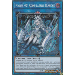 Maliss ˂Q˃ Compilatrice Blanche (PSE) [MP25]