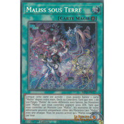 Maliss sous Terre (PSE) [MP25]