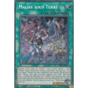 Maliss sous Terre (PSE) [MP25]