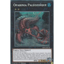 Opabinia Paléozoïque (PSE) [MP25]