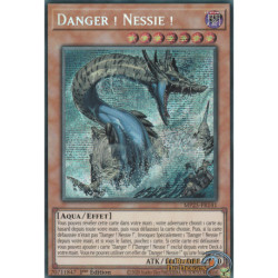 Danger ! Nessie ! (PSE) [MP25]