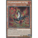 Salamangrande du Feu (PSE) [MP25]