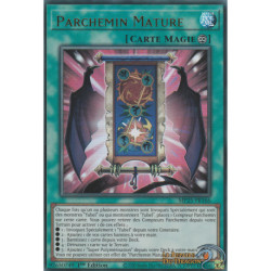 Parchemin Mature (UR) [MP25]