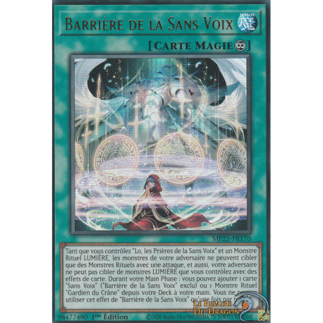 Barrière de la Sans Voix (UR) [MP25]