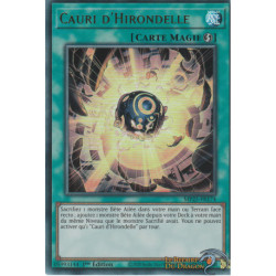 Cauri d'Hirondelle (UR) [MP25]