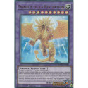 Dragon de la Révélation (UR) [MP25]