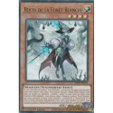 Rucia de la Forêt Blanche (UR) [MP25]