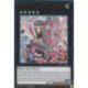 Reine Tiarafraise Magidolce (UR) [MP25]
