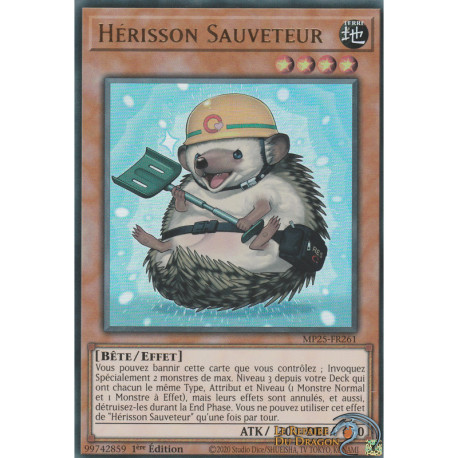 Hérisson Sauveteur (UR) [MP25]