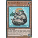 Hérisson Sauveteur (UR) [MP25]