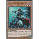 Roi Seigneur des D (UR) [MP25]