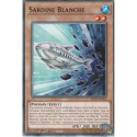 Sardine Blanche (C) [MP25]