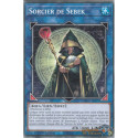 Sorcier de Sebek (C) [MP25]