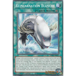 Réincarnation Blanche (C) [MP25]