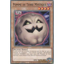 Pomme de Terre Mystique (C) [MP25]