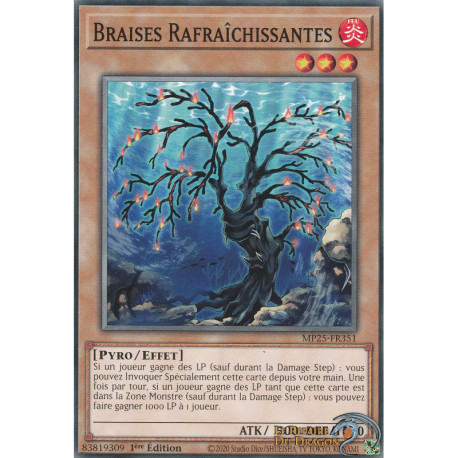 Braises Rafraîchissantes (C) [MP25]