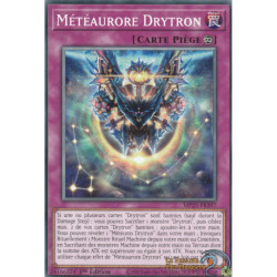 Météaurore Drytron (C) [MP25]