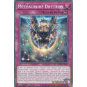 Météaurore Drytron (C) [MP25]