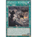 Débitrices Azamina (C) [MP25]
