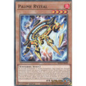 Paume Ryzéal (C) [MP25]