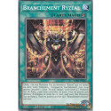 Branchement Ryzéal (C) [MP25]