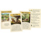 CATAN: Barbares et marchands - Extension 5-6 joueurs (Refresh)