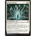 (Foil) Blanche - Rêverie du sage (U) [FRF]