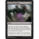 (Foil) Noire - Force de la tombe (U) [FRF]