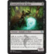 (Foil) Noire - Grand prêtre de Qarsi (U) [FRF]