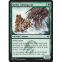 (Foil) Verte - Krotiq embusqueur (C) [FRF]