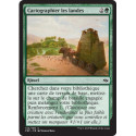 (Foil) Verte - Cartographier les landes (C) [FRF]