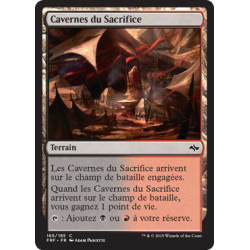 (Foil) Terrain - Cavernes du Sacrifice (C) [FRF]