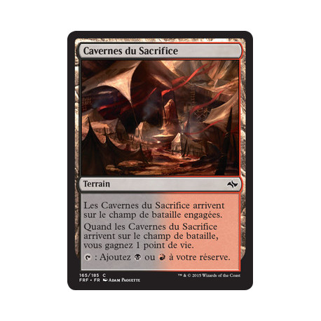 (Foil) Terrain - Cavernes du Sacrifice (C) [FRF]
