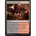 (Foil) Terrain - Cavernes du Sacrifice (C) [FRF]