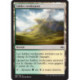 (Foil) Terrain - Sables verdoyants (C) [FRF]