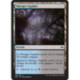 (Foil) Terrain - Marigot lugubre (C) [FRF]