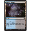 (Foil) Terrain - Marigot lugubre (C) [FRF]