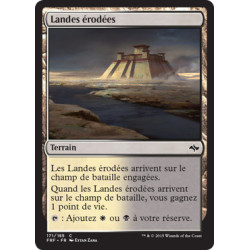 (Foil) Terrain - Landes érodées (C) [FRF]