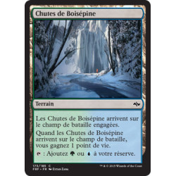 (Foil) Terrain - Chutes de Boisépine (C) [FRF]