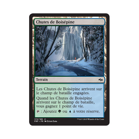(Foil) Terrain - Chutes de Boisépine (C) [FRF]