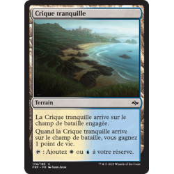(Foil) Terrain - Crique tranquille (C) [FRF]