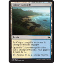 (Foil) Terrain - Crique tranquille (C) [FRF]