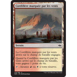 (Foil) Terrain - Cordillère marquée par les vents (C) [FRF]