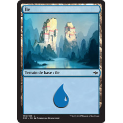 (Foil) Terrain - Île (V1) (L) [FRF]