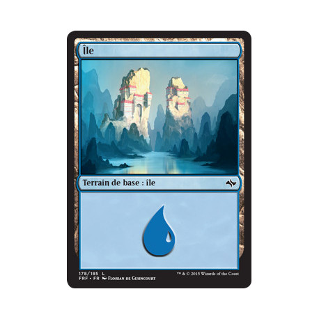 (Foil) Terrain - Île (V1) (L) [FRF]